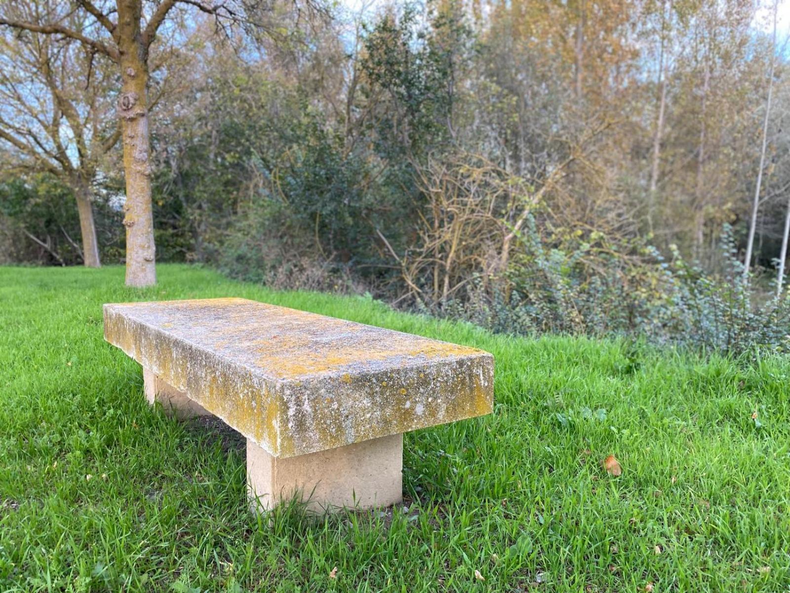 El Ciepede - Alfovar Villa Villalobar de Rioja エクステリア 写真